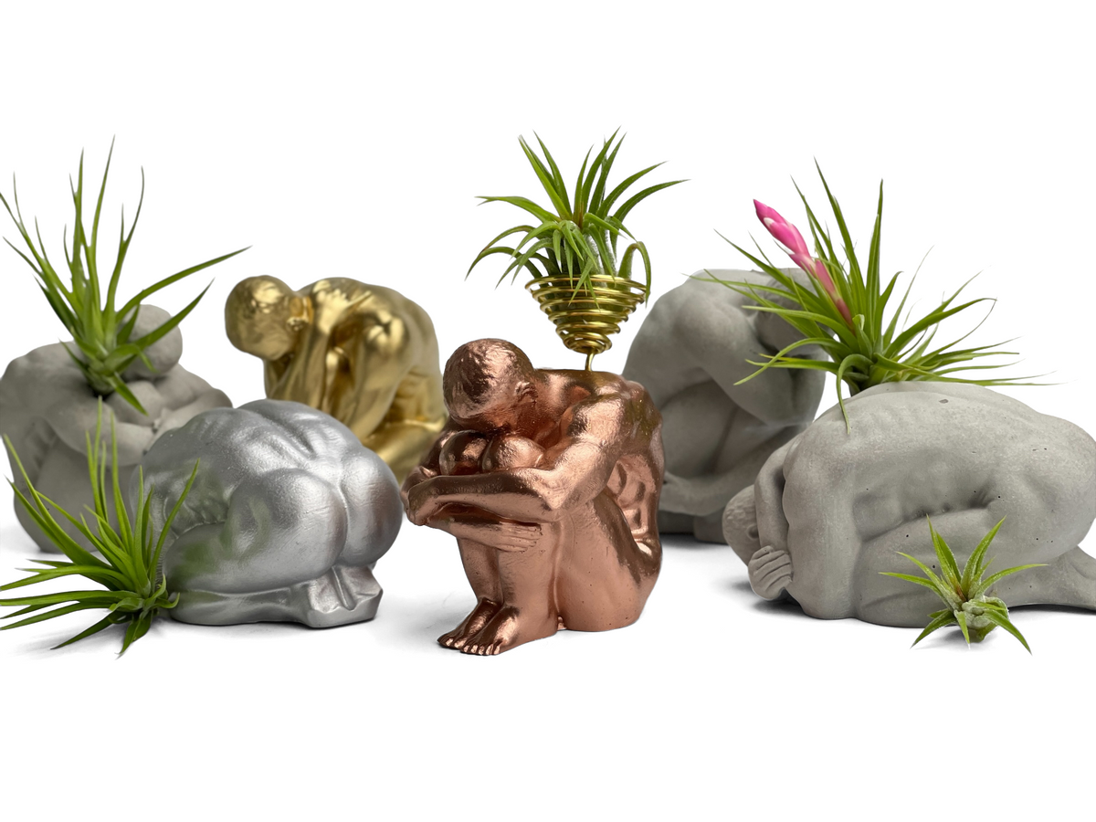MALE BODY AIR PLANT HOLDER