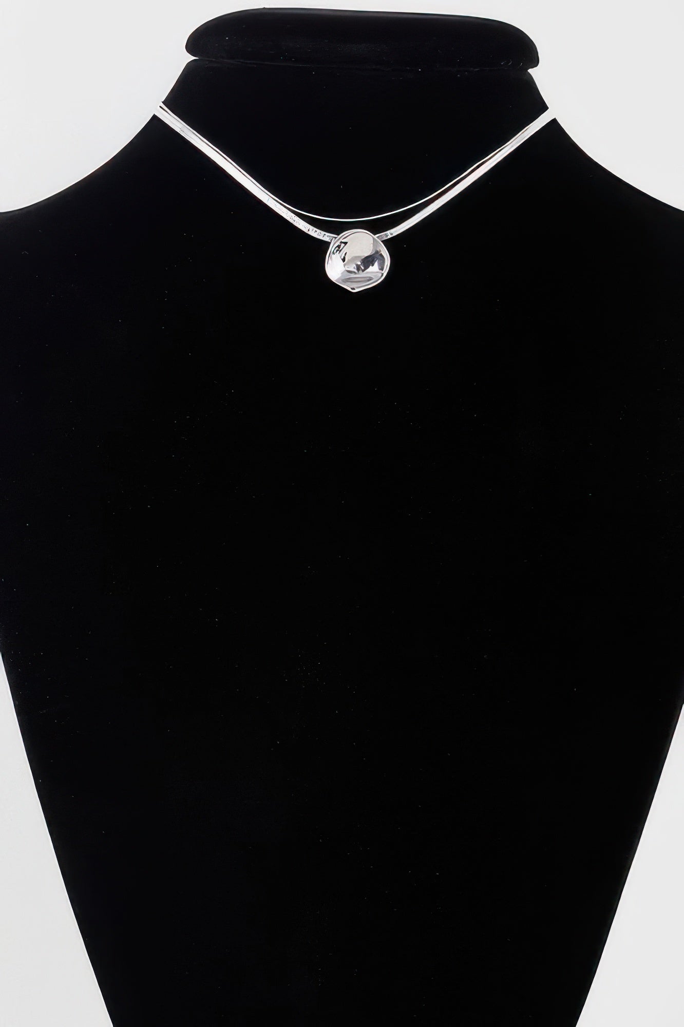 Reflection Plate Snake Chain Necklace - It's a Girly Place