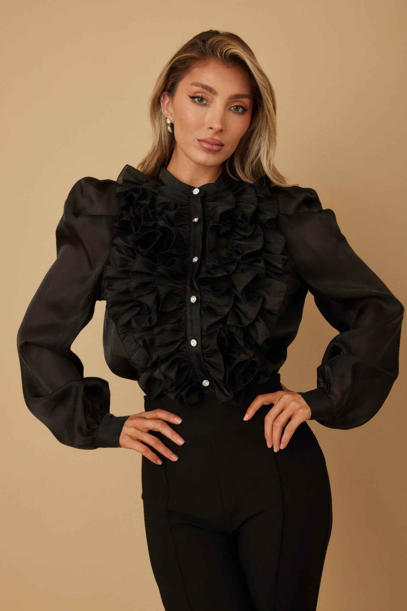 Ruffle Micro Crystal Long Sleeve Blouse