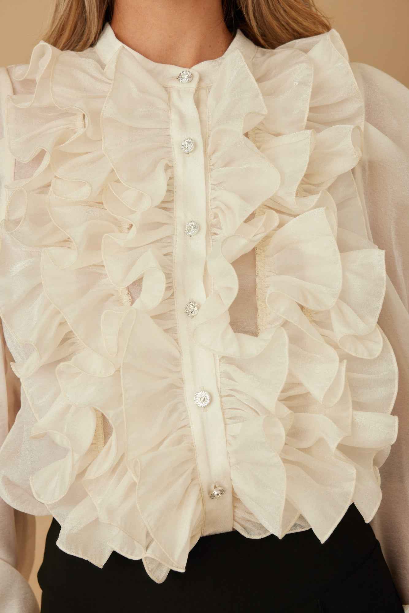 Ruffle Micro Crystal Long Sleeve Blouse