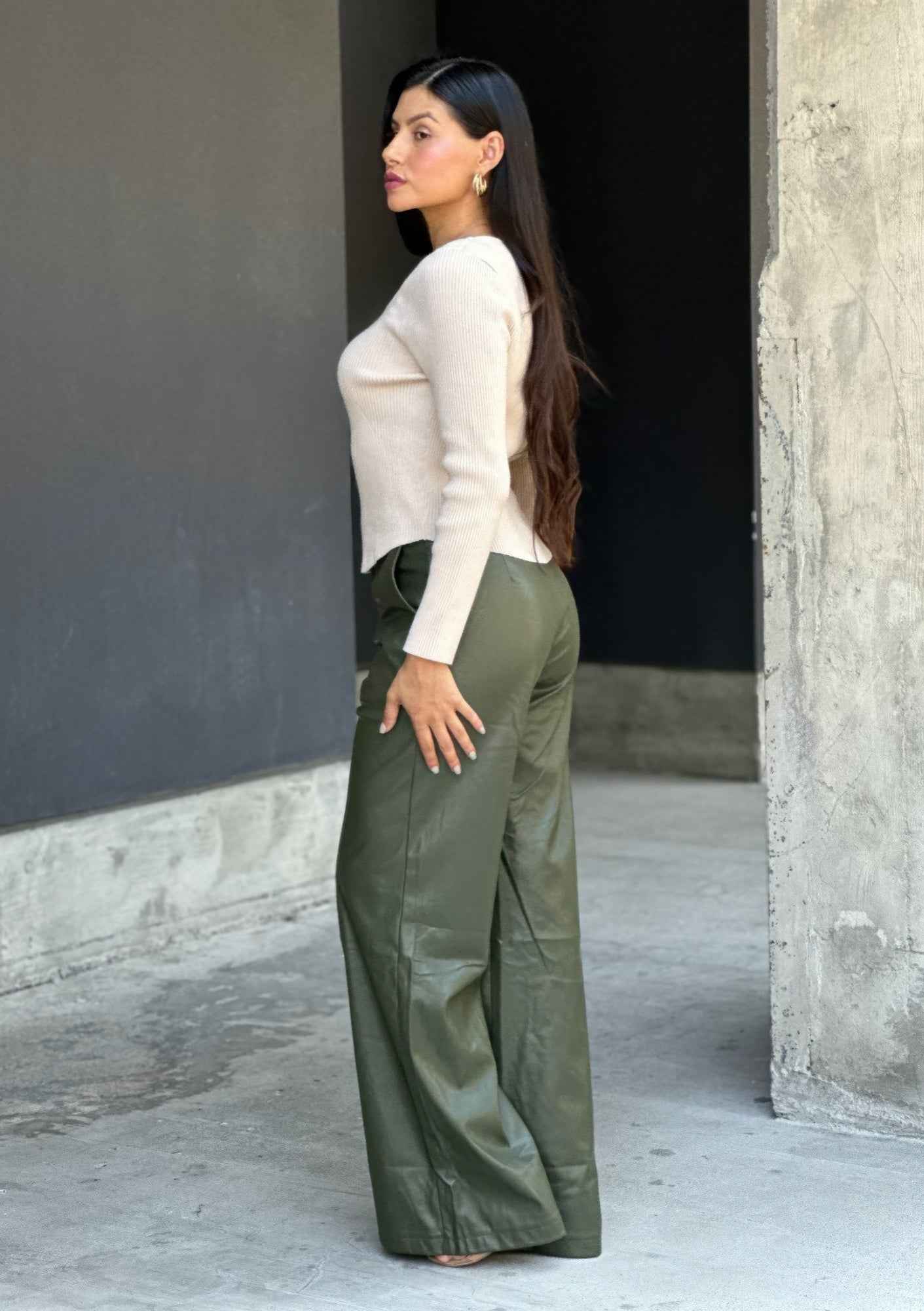 Front Pleated Faux Leather Wide Leg Pants