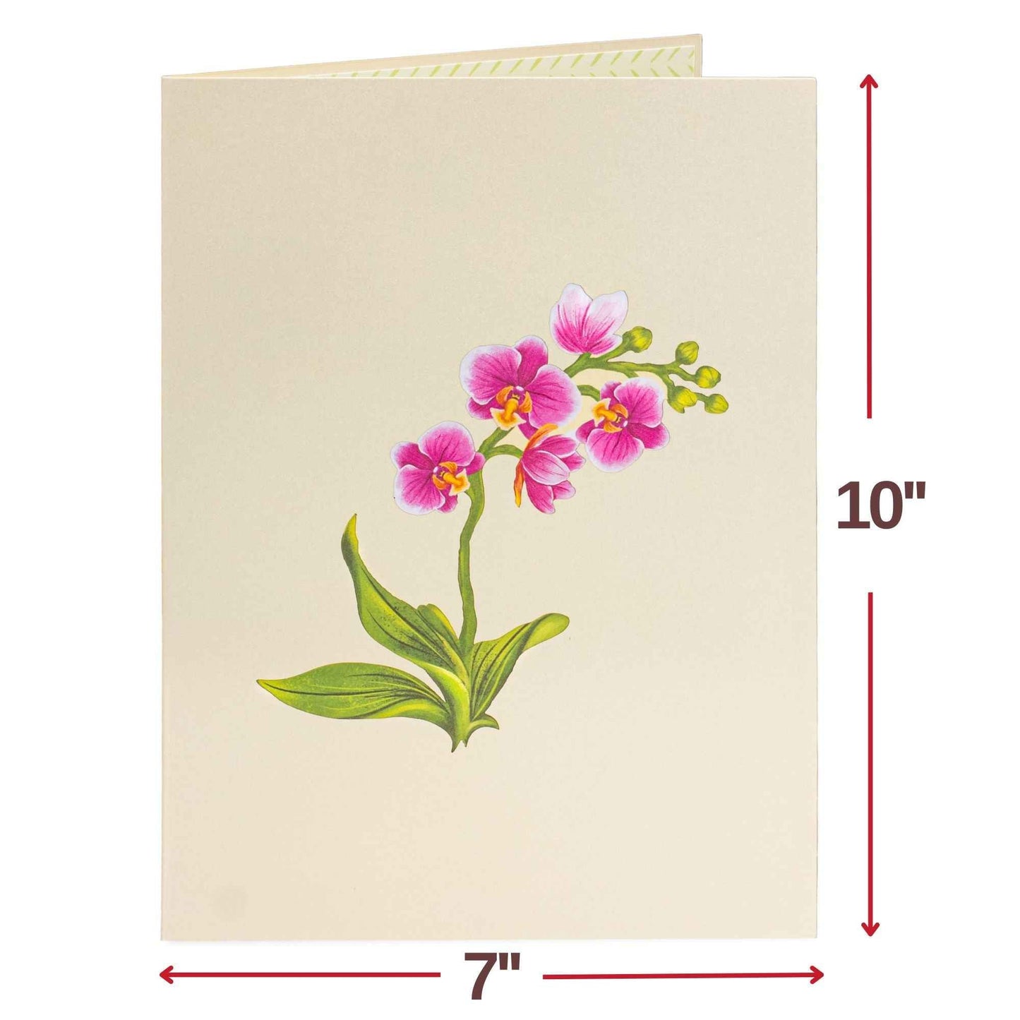Orchid Flower Bouquet Pop-Up Card with Keepsake