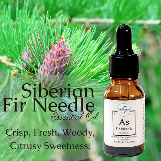 Siberian Fir Needle | Essential Oil | Abies Sibirica