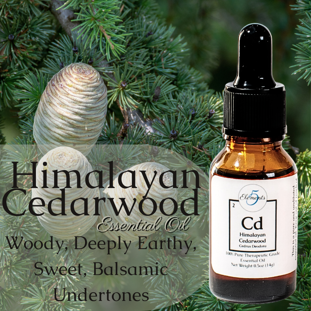 Himalayan Cedarwood | Essential Oil | Cedrus Deodora