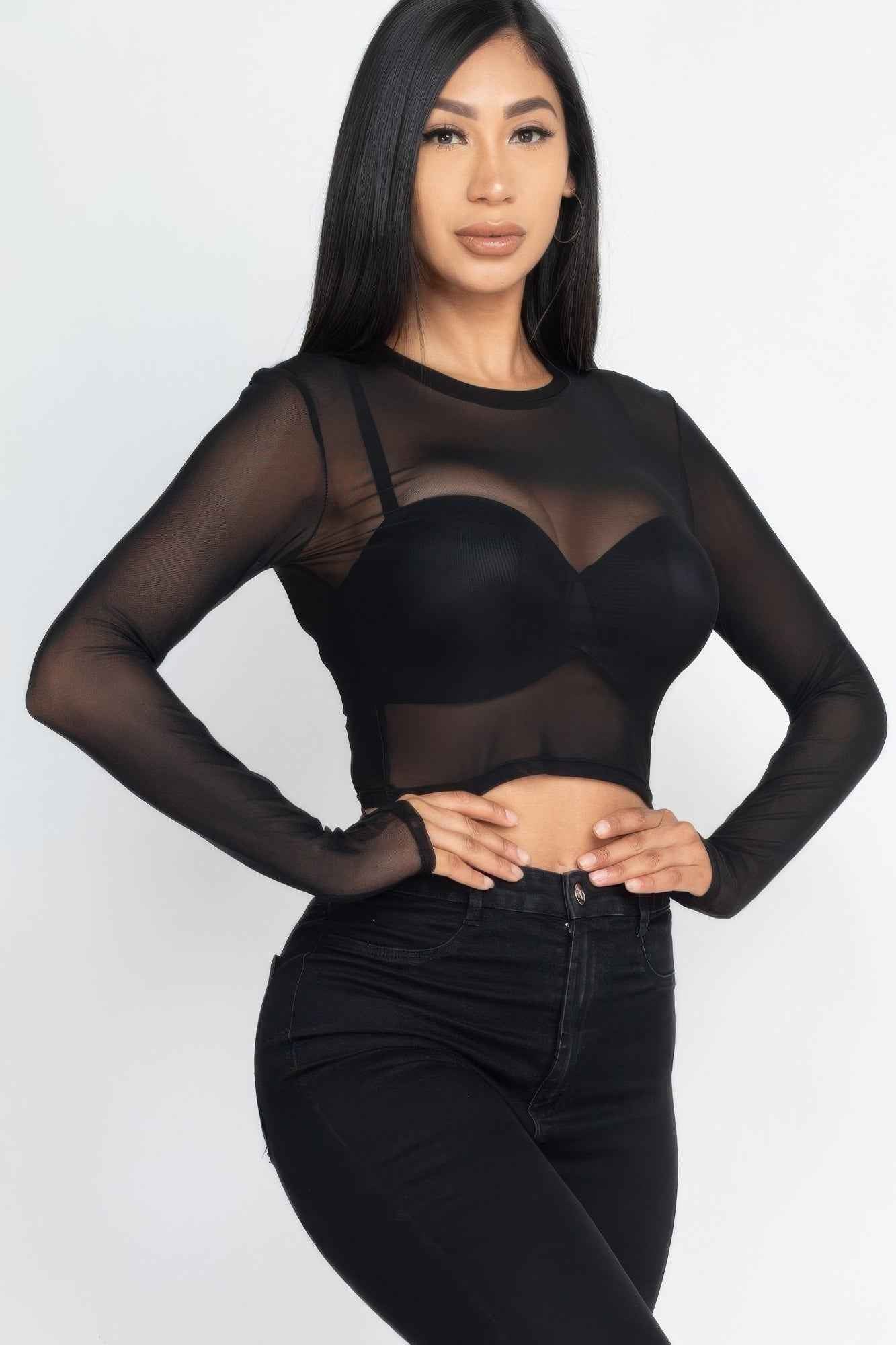 Sheer Mesh Long Sleeve Crop Top