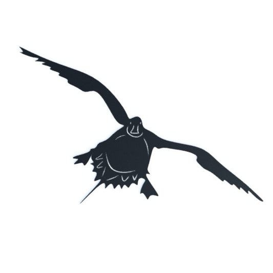 Steel Landing Pintail Duck | Wall Art